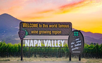 Hot air balloons in Napa Valley