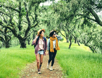 Outdoor Activities