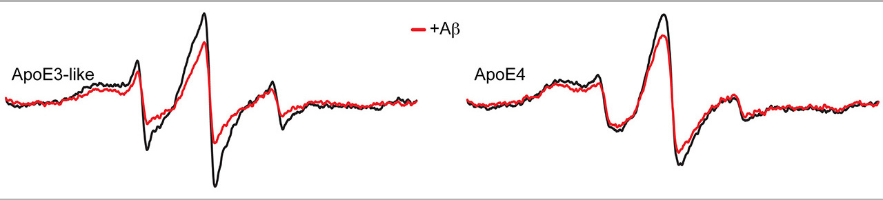 Protein Structure Core Facility