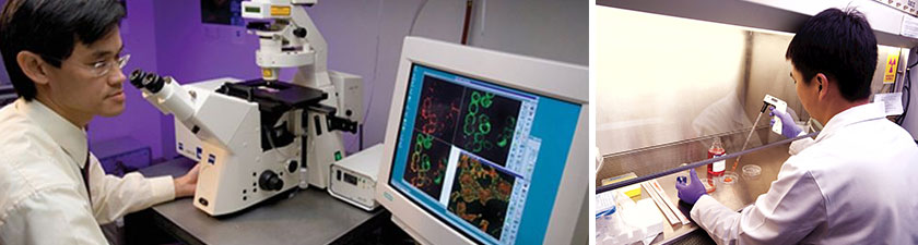 Graduate groups page banner image