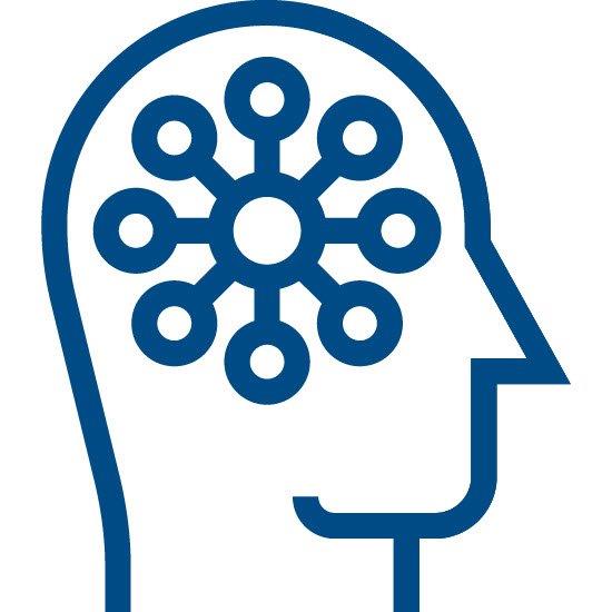 brain stem