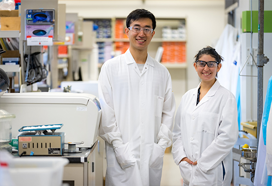 Stem Cell Transplant Program