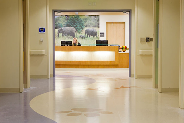 PICU Expansion