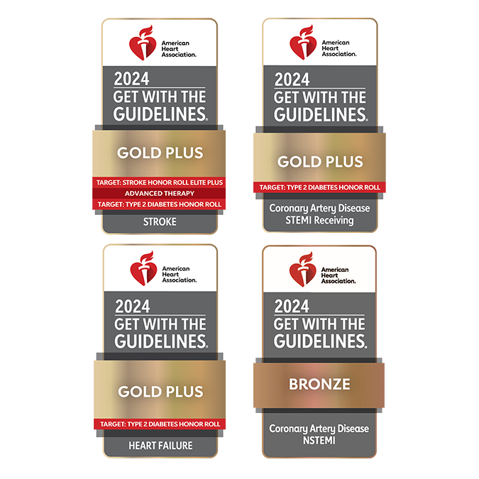 Get With The Guidelines 2024 Badges