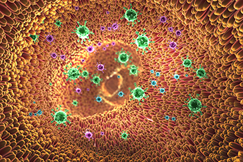The colon lining releases H<sub>2</sub>O<sub>2</sub> to protect itself from gut microbes