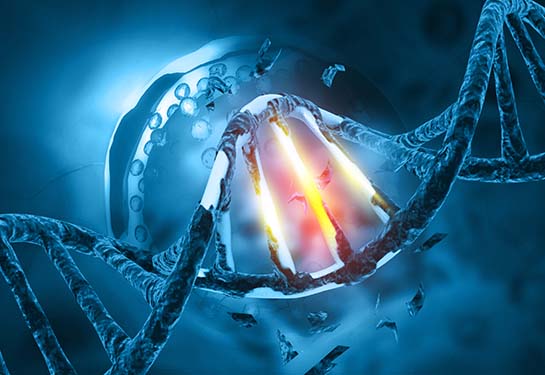 computer graphics of a DNA