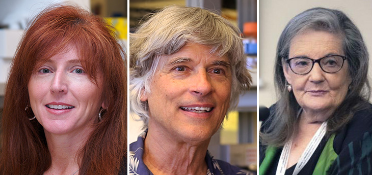 Flora Tassone, Paul Hagerman and Radi J. Hagerman 