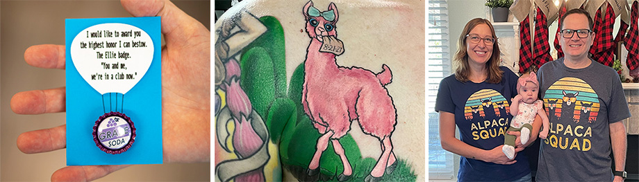 Alpaca composite