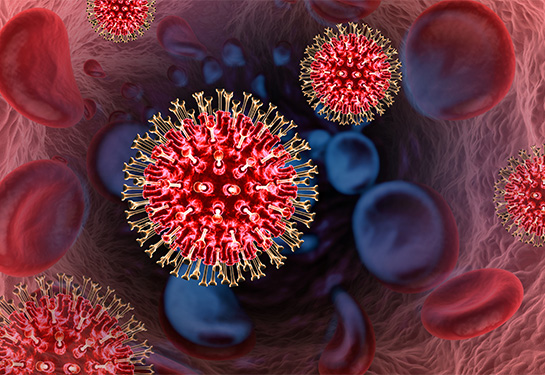 Virus infected blood cells