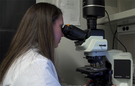 Brittany Dugger mira en un microscopio electrónico 