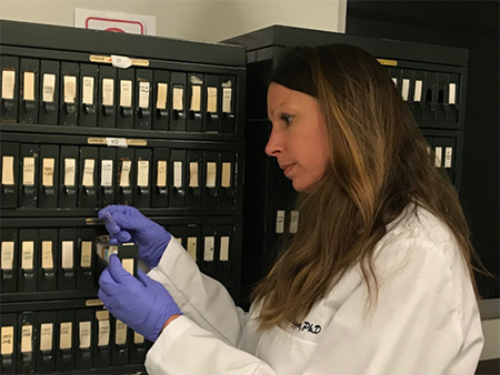Brittany Dugger, usando delantal blanco y guantes violetas, escoge una muestra del banco de cerebros del Centro de la Enfermedad de Alzhéimer de UC Davis
