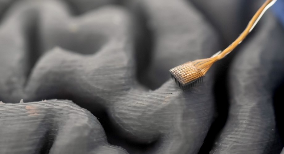 A model of a human brain with an array