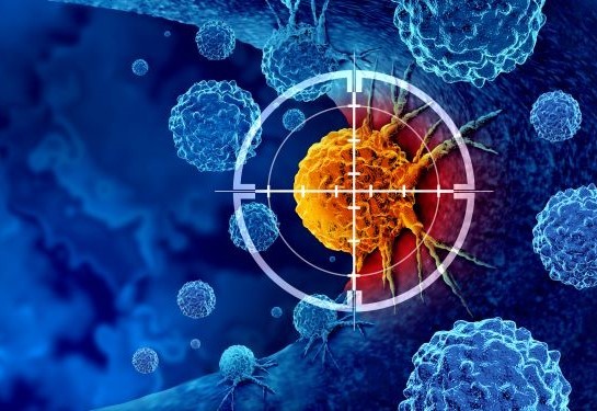 An illustrated rendering of a cancerous cell targeted with immunotherapy