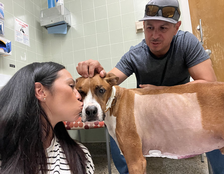 A woman sits next to a dog, giving it a kiss o the cheek, while a man stands next to them both