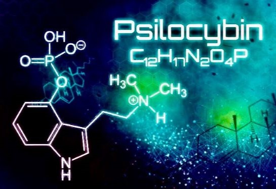 The word &#x201c;Psilocybin&#x201d; and its chemical composition are displayed in white against a dark background.