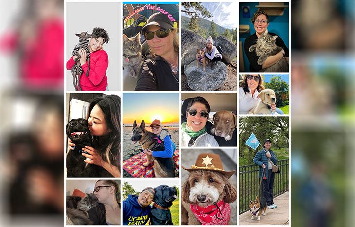 collage of images of people with their dogs and the health benefits of pets