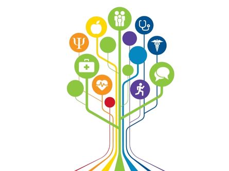 improving outcomes rainbow tree