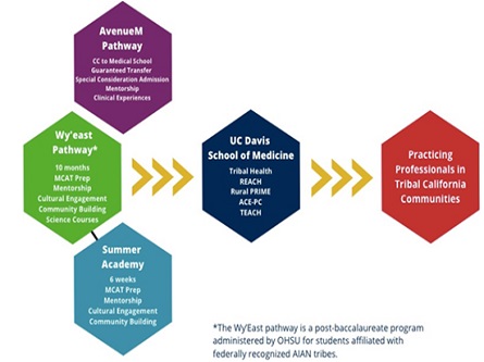 infographic