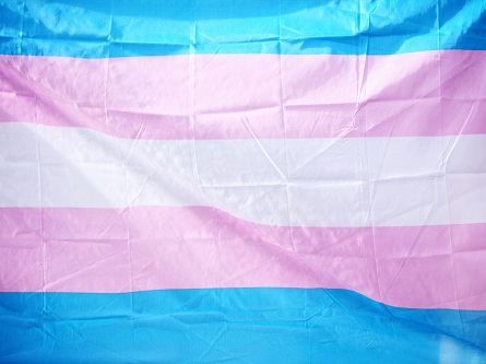 transgender pride flag