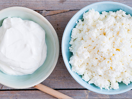 Bowl of cottage cheese next to bowl of yogurt