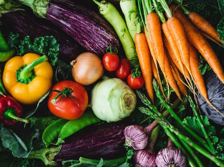 An array of fresh vegetables