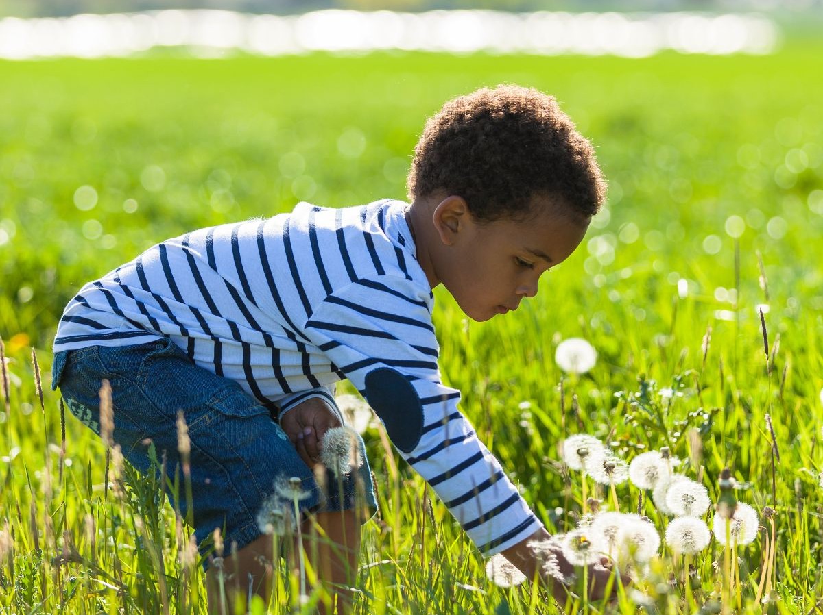 boy picking dandilion