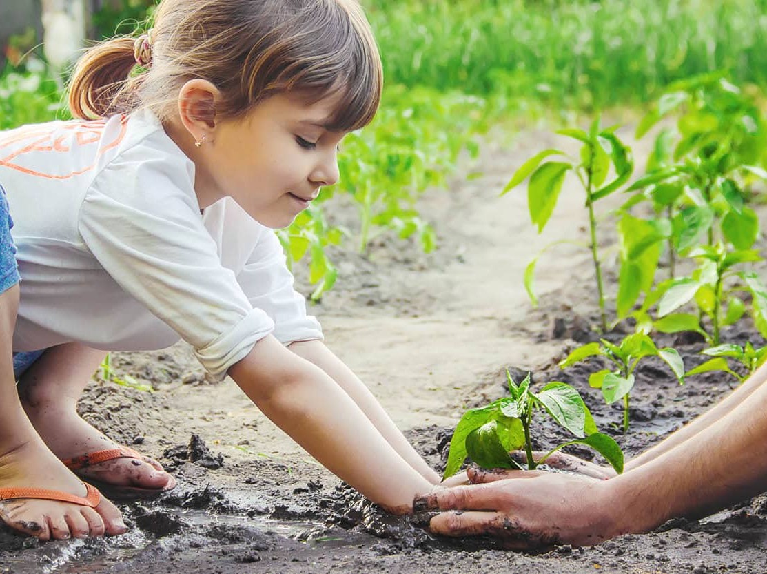 kid planting flower
