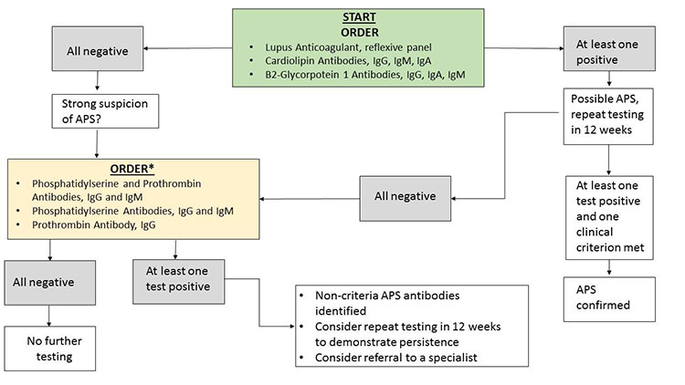 Testing algorithm for APS summarized