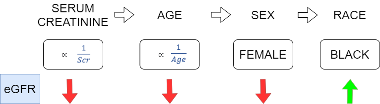 Variables in eGFR Calculation