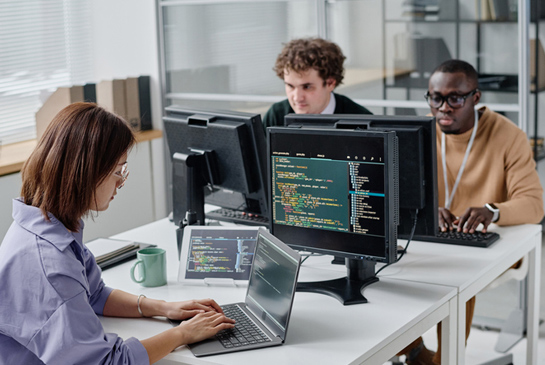 People working on computers in IT office.