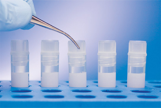 Stem cells