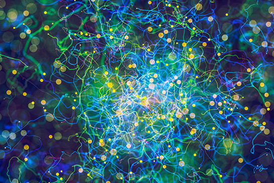 Neurons