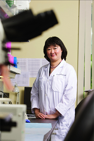 headshot of Professor Tianhong Li