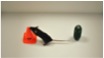 Novel object recognition
