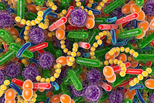 Microbiomes