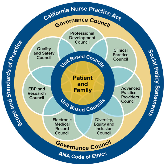Patient and family unit based councils