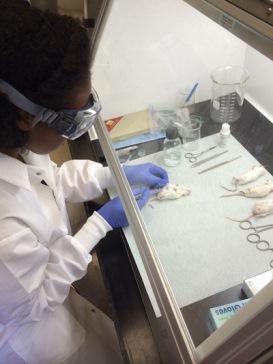 Edmondson 2014 Lab