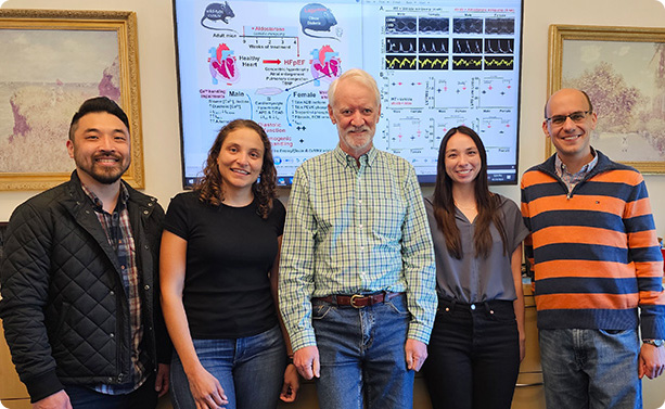 Bers Lab