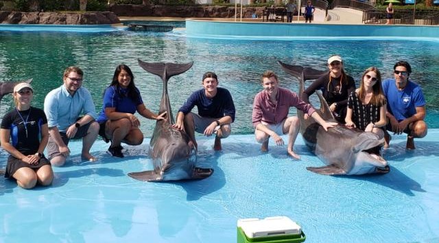People gathered next to a pool with a dolphin