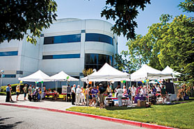 National Cancer Survivors Day Picnic