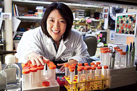 Noriko Satake