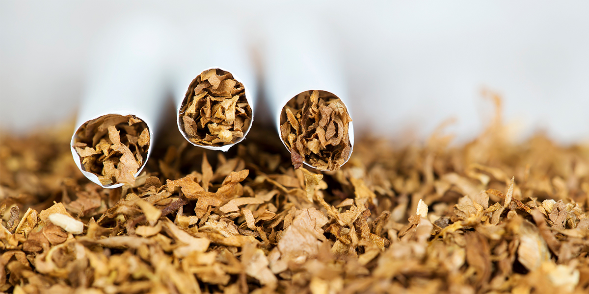 tobacco