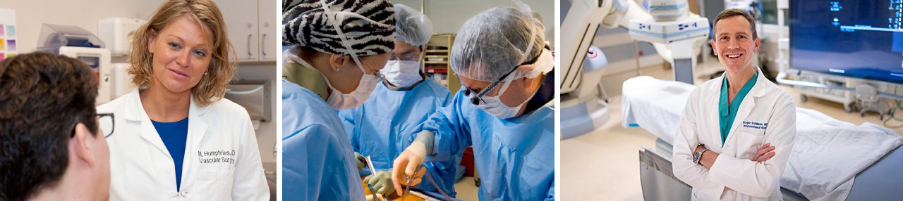 Vascular specialists working to hone in treatments for vascular diseases, vascular disease symptoms